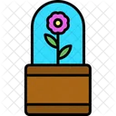 Flower Pot Flower Pot Icon