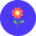 Flower Pot Flower Pot Icon