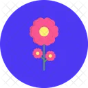 Flower Pot Flower Pot Icon