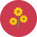 Flower Pot Flower Pot Icon