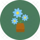 Flower Pot Flower Pot Icon