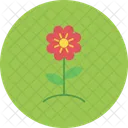 Flower Pot Flower Pot Icon