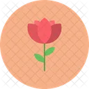 Flower Pot Flower Pot Icon