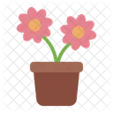 Flower pot  Icon