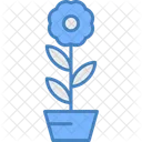 Flower Pot Flower Pot Icon