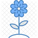 Flower Pot Flower Pot Icon