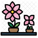 Farming And Gardening Botanic Flower Pot Icon