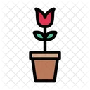 Flower Pot  Icon