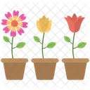 Pot Flower Colors Icon