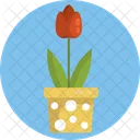 Flower Pot Decoration Icon