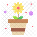 Flower Pot Flower Pot Icon