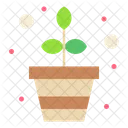 Flower Pot Flower Plant Icon