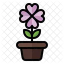 Flower Pot  Icon