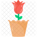 Flower Pot Planter Rose Pot Icon