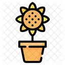 Flower Sunflower Pot Icon
