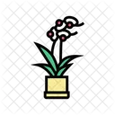 Flower Pot Flower Pot Icon