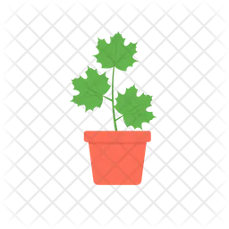 Flower Pot  Icon