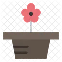 Flower Pot  Icon