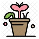 Flower Pot  Icon