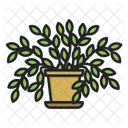 Flower Pot Plant Icon