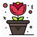 Flower Pot Flower Home Icon