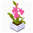 Flower Pot  Icône