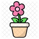Flower Pot Indoor Plant Pot Plant Icon