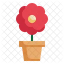 Flower Pot  Icon