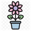 Flower Pot  Icon
