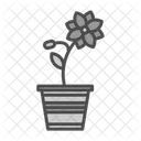 Flower Pot  Icon