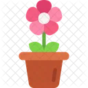Flower Pot Plant Decorative Icon