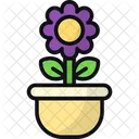 Flower Pot Decoration Plant Pot Icon