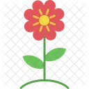 Flower Pot Flower Pot Icon