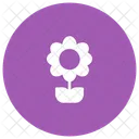 Flower Pot Nature Icon