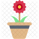 Flower Pot Gardening And Farming Spring Icon