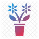 Plant Flower Pot Icon