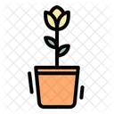 Flower Pot Plant Flower Icon