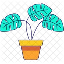 Flower Pot  Icon