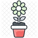 Flower Pot Flower Growing Spring Icon