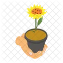 Pot Flower Plant Icon