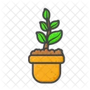 Flower Flower Pot Nature Icon