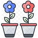 Flower Pot Plant Flower Icon