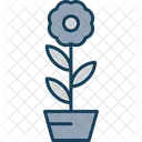 Flower Pot Flower Pot Icon