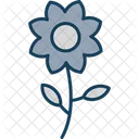 Flower Pot Flower Pot Icon