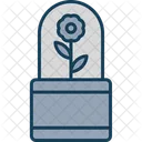 Flower Pot Flower Pot Icon