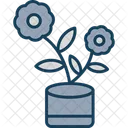 Flower Pot Flower Pot Icon