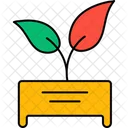 Plant Flower Pot Icon