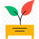 Flower pot  Icon