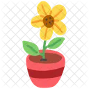Spring Spring Nature Icon