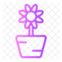 Plants Planr Flower Icon